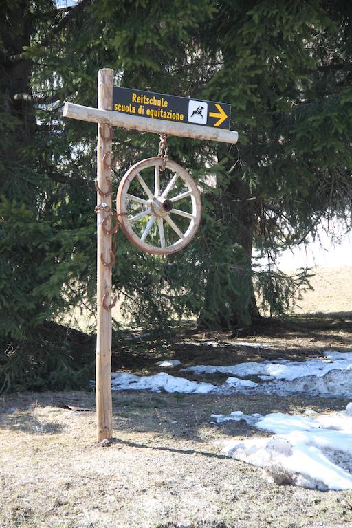 אפרטהוטל אורטיסיי Alpin Sport מראה חיצוני תמונה